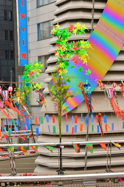 DSC_4014 (Large).JPG